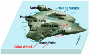 Trade-Winds-Kona-Coast-Hawaii