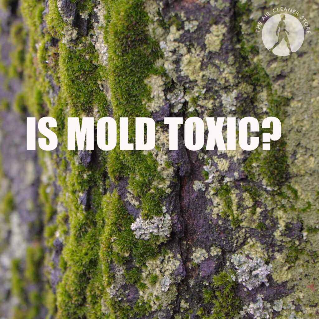 Mold Toxicity