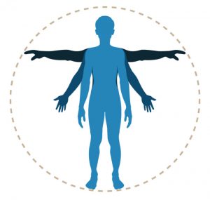 Davinci Vector