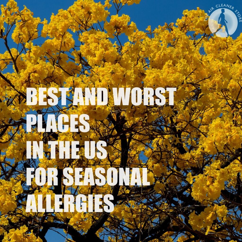 Best and Worst Places to live in the US with Pollen Allergies This Year