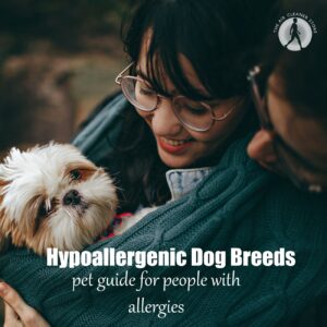 Hypoallergenic Dog breeds