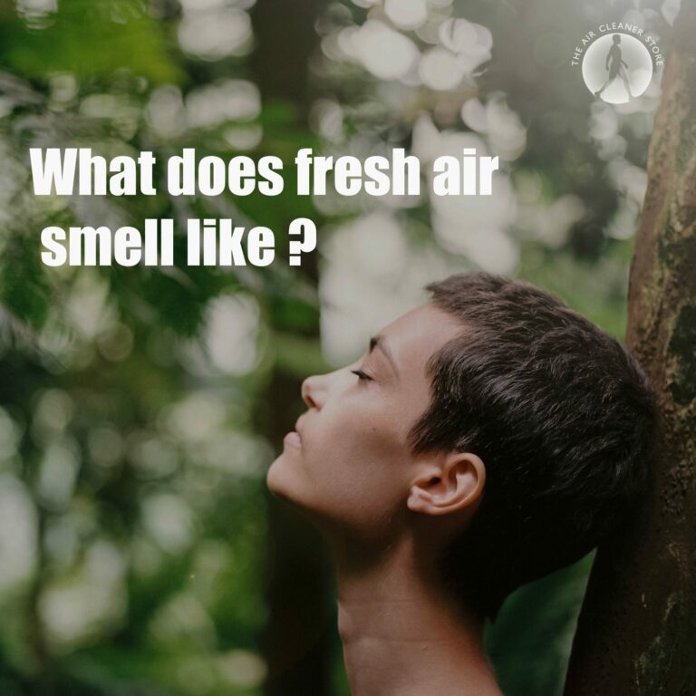 The Fresh Air Smell The Air Cleaner Store