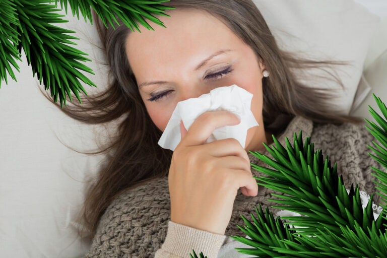 Are You Allergic to Christmas Trees? The Air Cleaner Store